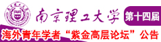村妇的黑毛南京理工大学第十四届海外青年学者紫金论坛诚邀海内外英才！